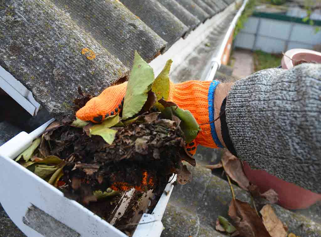 Gutter clearance in Mansfield